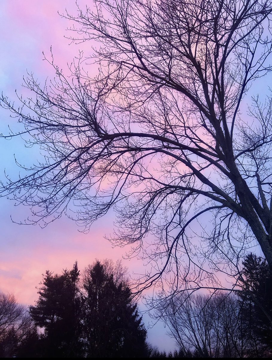 my heart in winter's solitude