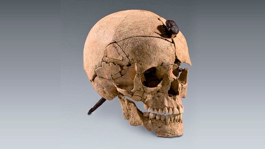 Archaeology Magazine tweet media