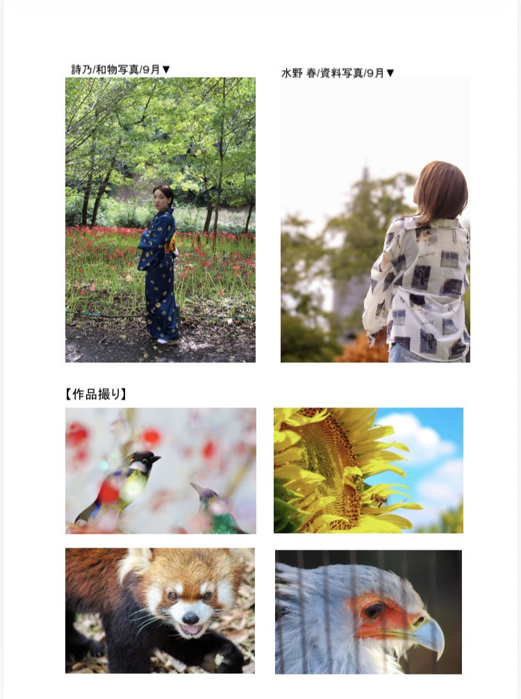 つぼみ tweet media