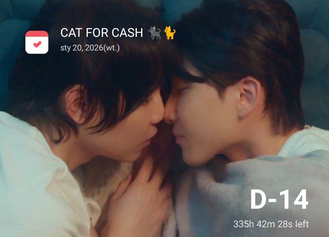 harmonyaround's tweet image. ZA ROWNO DWA TYGODNIE CAT FOR CASH