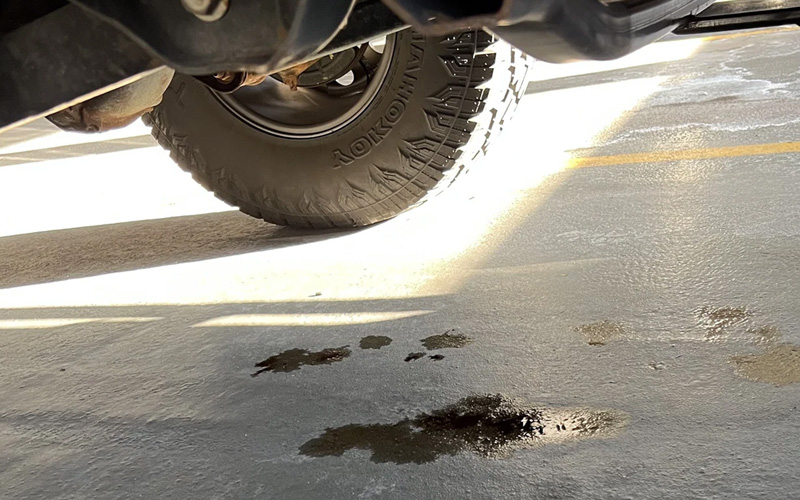 Suricate tweet media