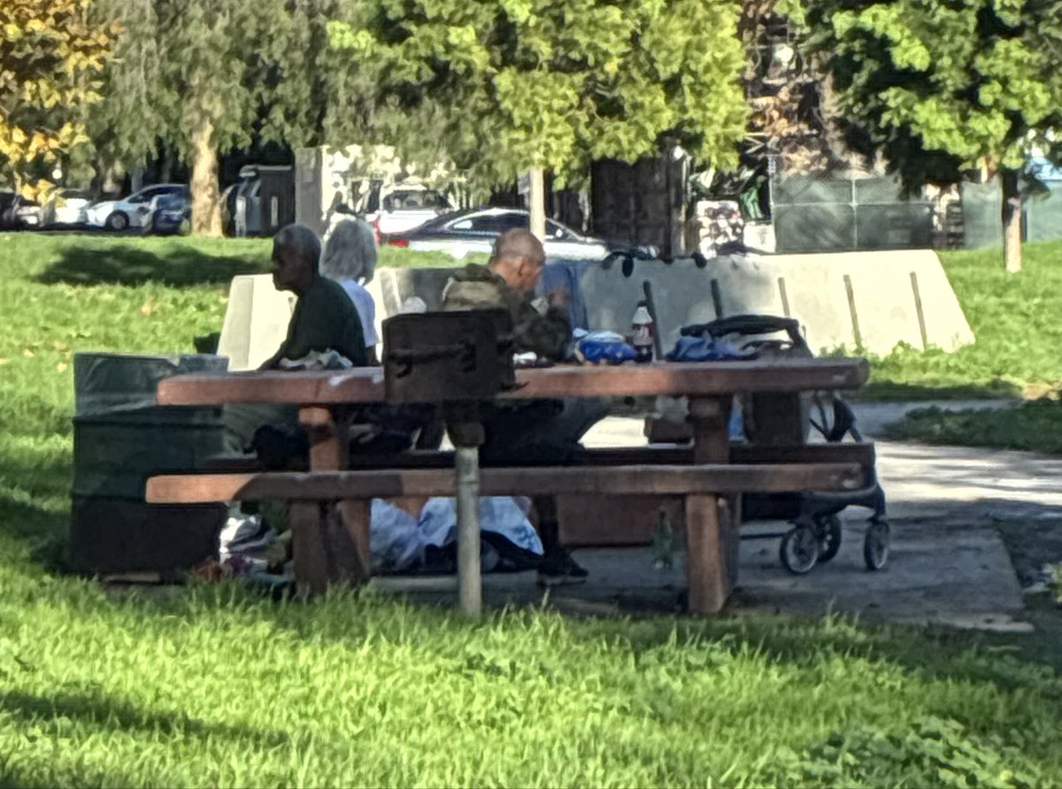 Westwood Park, Jan 5, 2026.

Katy Yaroslavsky and Karen Bass have ruined LA's city parks. 

This is shameful. Our kids deserve better than this.