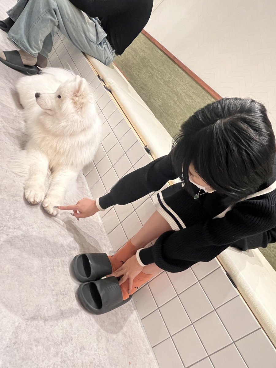 おはようございます、本日います、もも◤•ω•◥