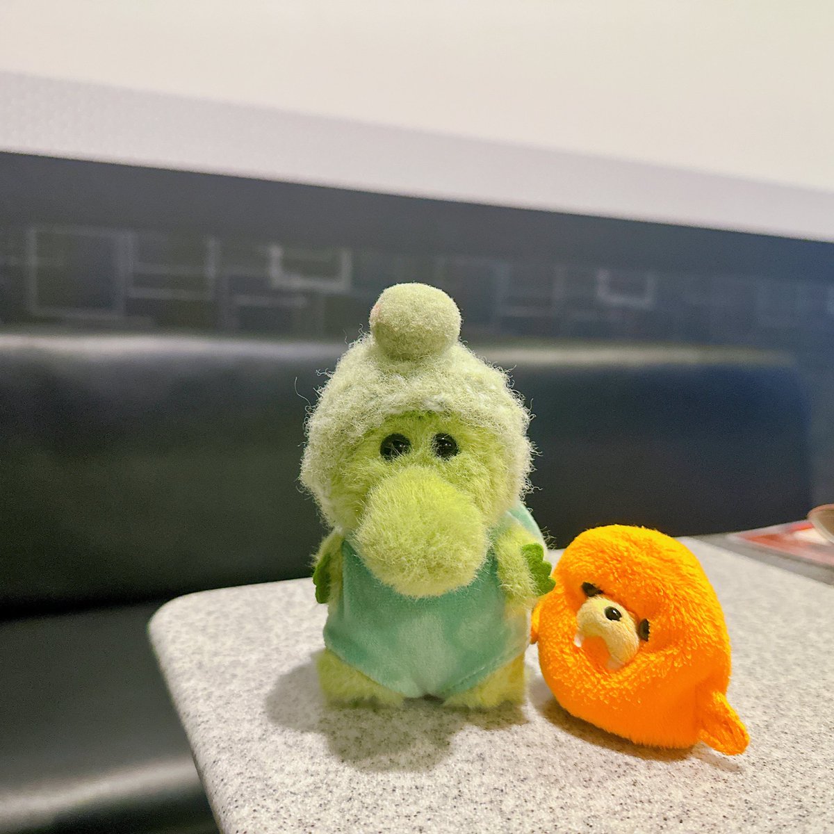 🍊わにさん？かめさん？どち？