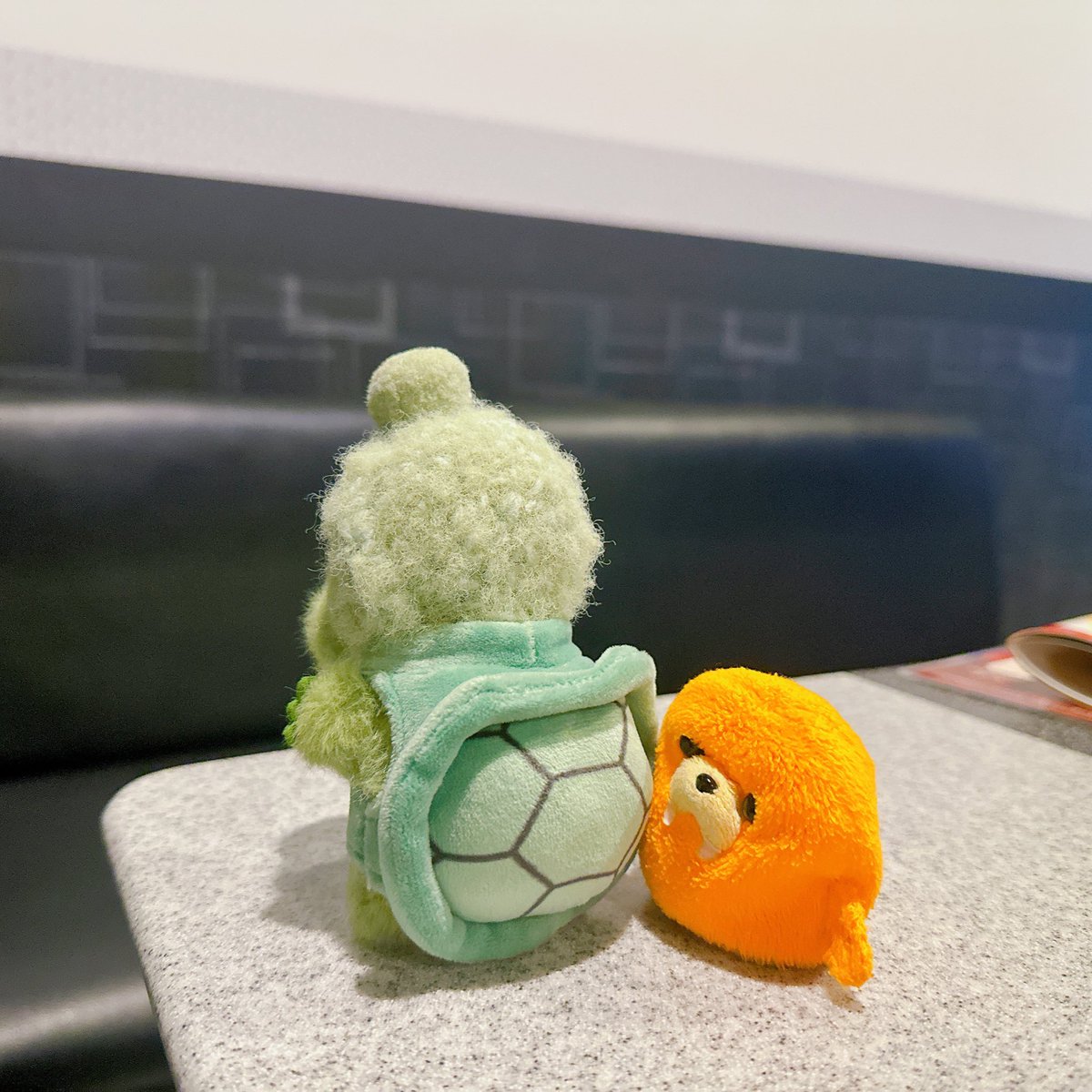 🍊わにさん？かめさん？どち？