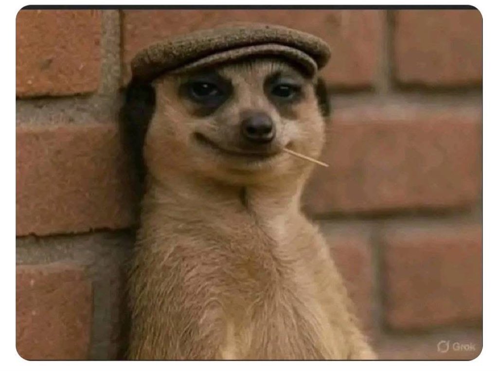 by now some national service teacher eat gari then sugar without groundnut dey come mow ein students balance diet. sigh