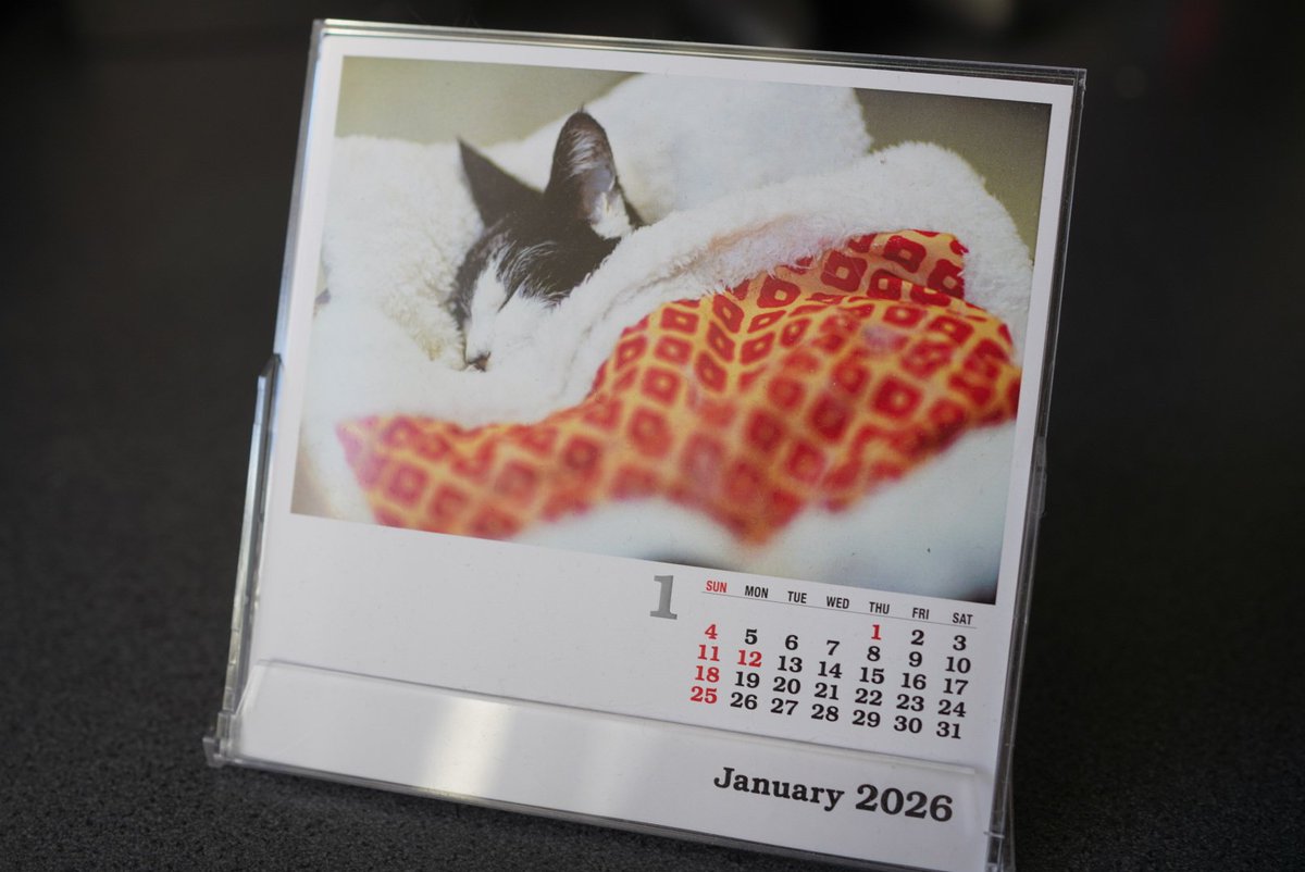 本日ラスト限定値下げ！ CHANNEL S 6'9” Zil (@zilzal999) / Posts / X