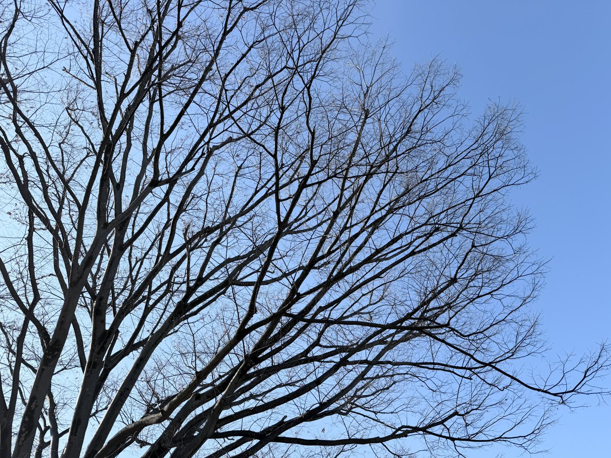 sato_thinking's tweet image. 違和感を覚えることに無理に合わせなくていい。

自分がしっくりこない考え方や論理に、無理をして自分を合わせる必要はない。大切なのは、自分の感覚を尊重しながら納得できる選択を重ねること。

おはようございます。
今日も良い一日をお過ごしください！