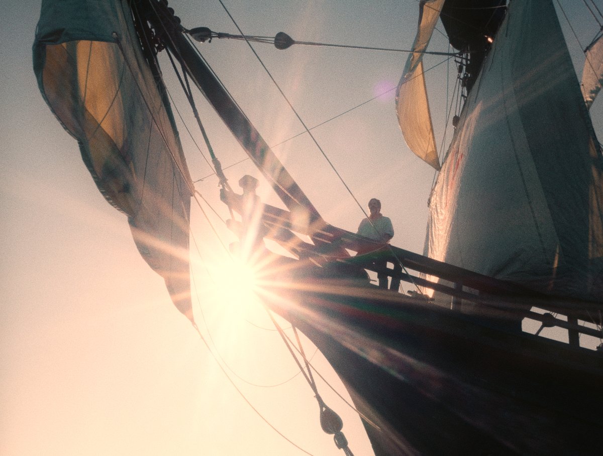 Janus Films tweet media