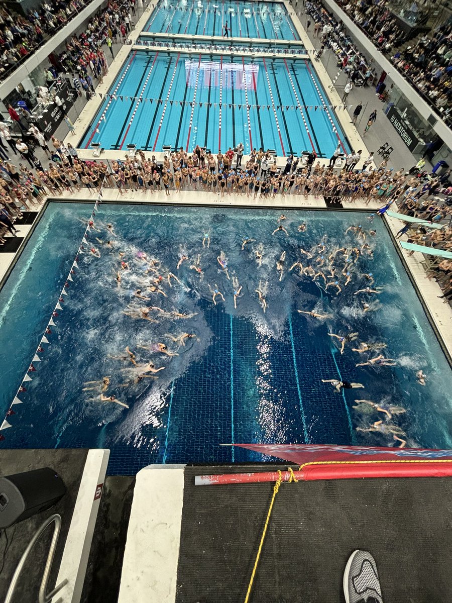 Indiana Swimming tweet media