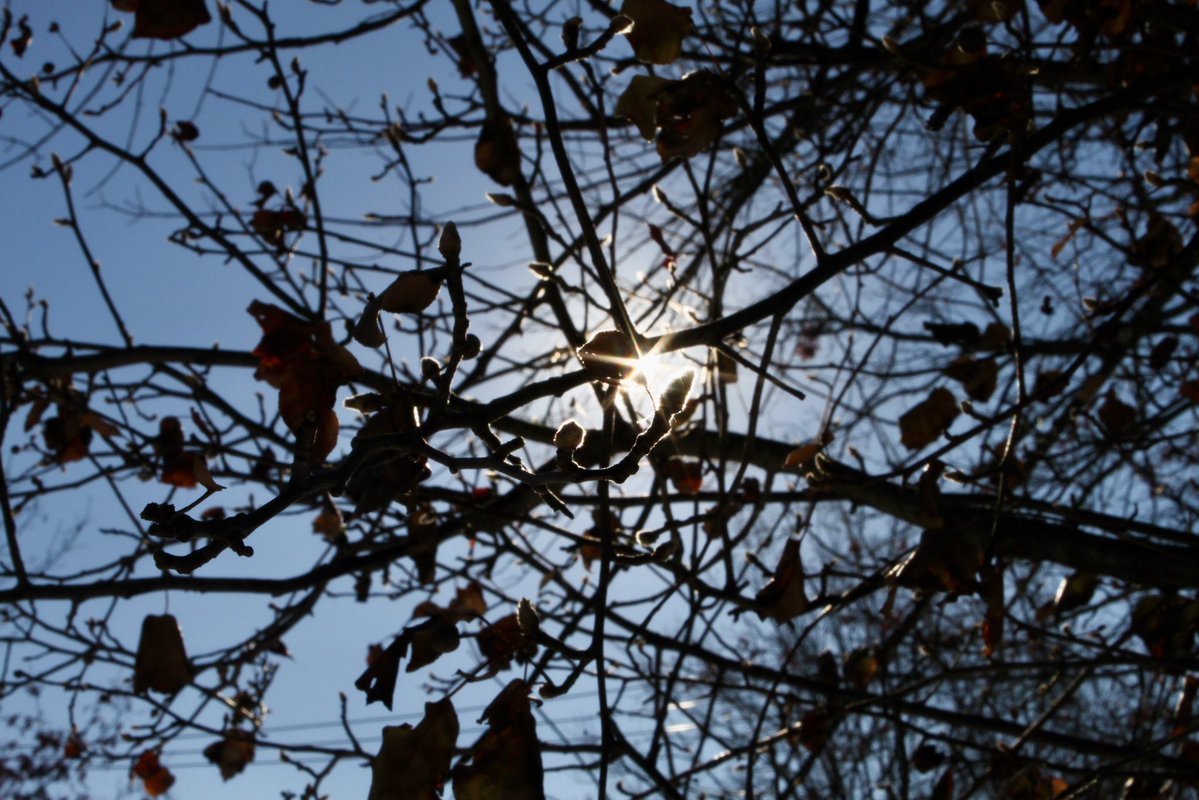 Burgeryearner's tweet image. 