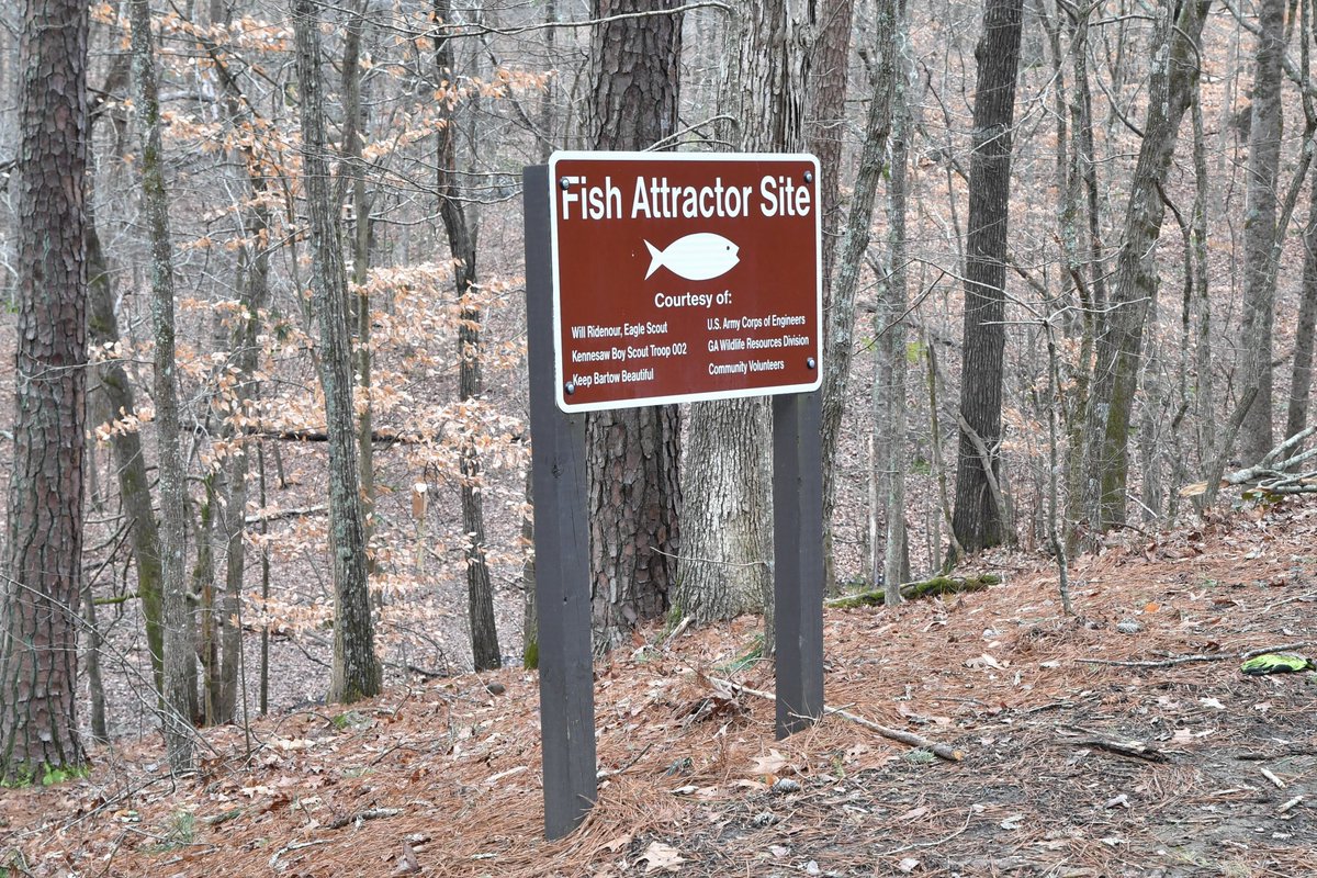 AtlantaCorps's tweet image. While cleaning up from the holidays, keep in mind that during January most SAD lakes are accepting real Christmas trees for their fisheries recycling programs! To find a tree drop location near you, check in with our district lakes in Mobile, Jacksonville and Savannah.