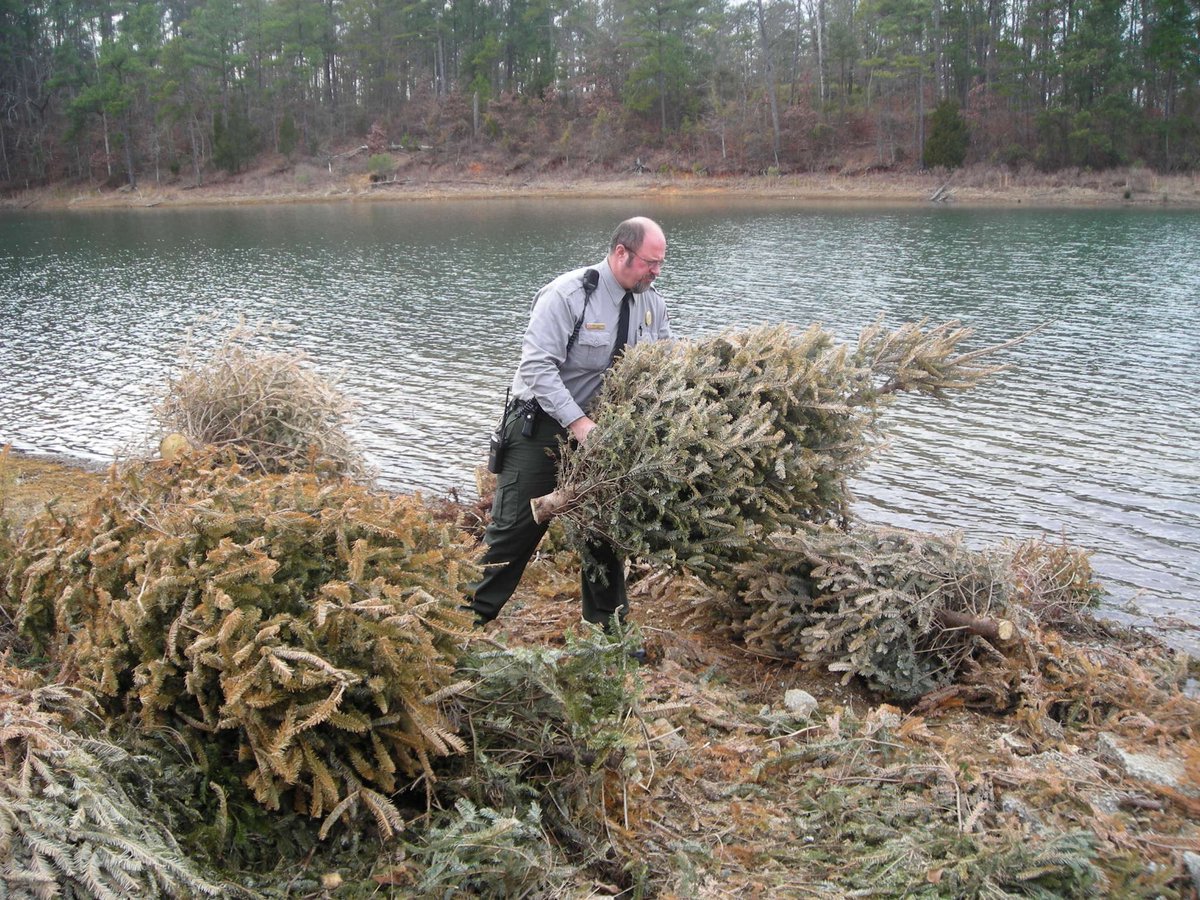 AtlantaCorps's tweet image. While cleaning up from the holidays, keep in mind that during January most SAD lakes are accepting real Christmas trees for their fisheries recycling programs! To find a tree drop location near you, check in with our district lakes in Mobile, Jacksonville and Savannah.