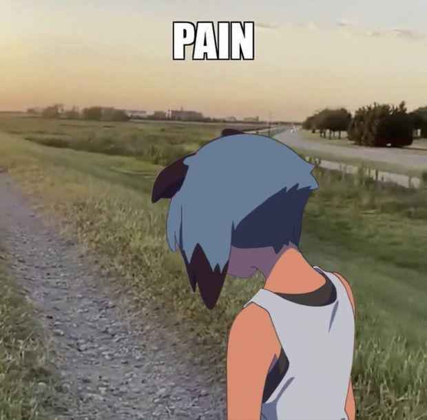 🦝Michiru🦝 tweet media