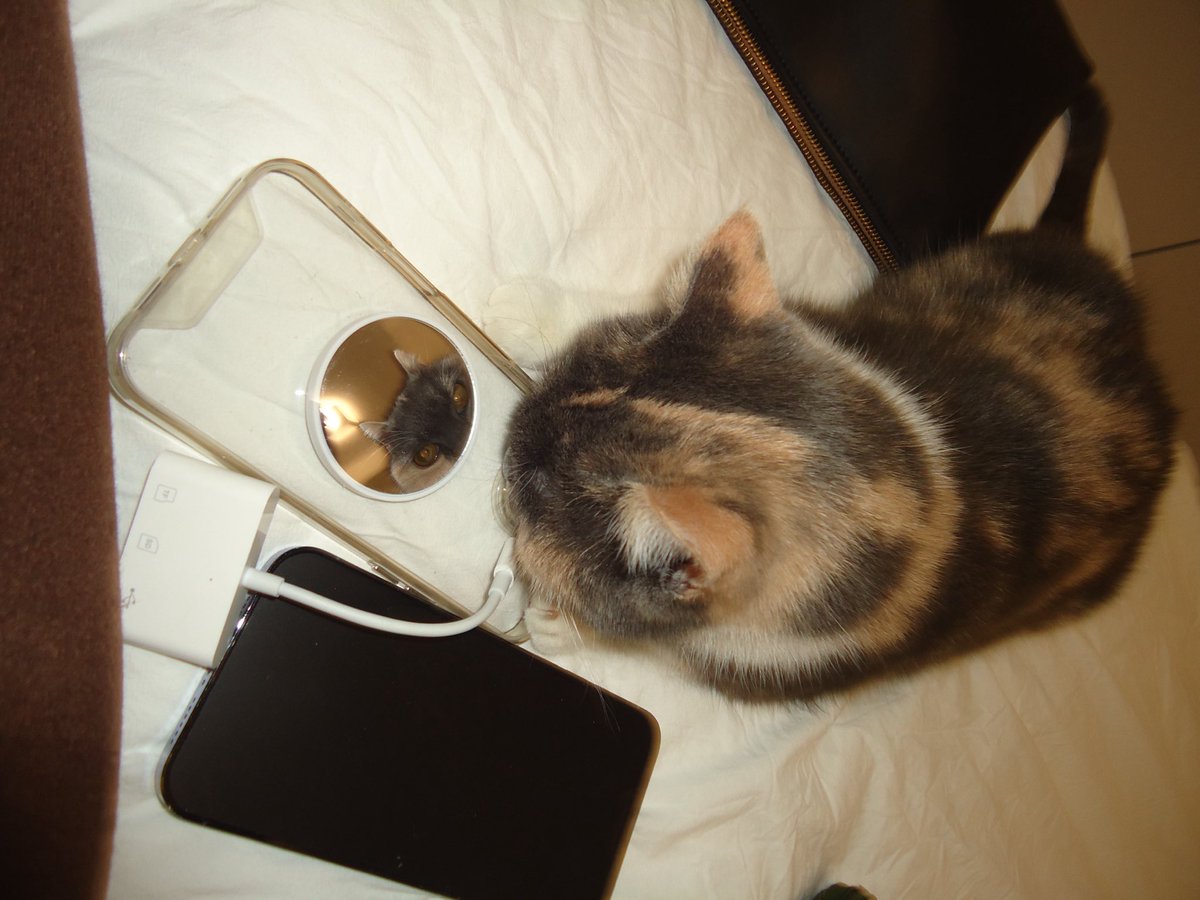 кібер.Рзай tweet media