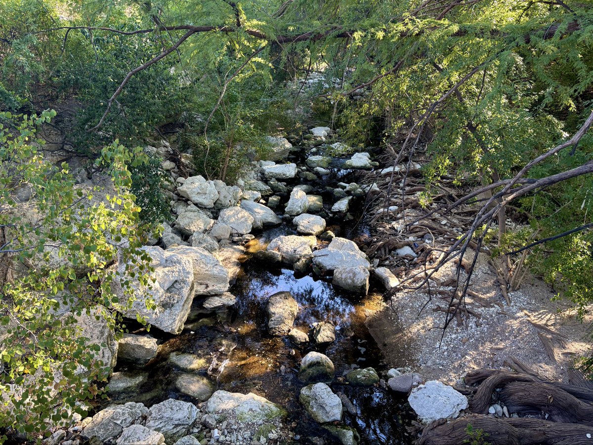 deallium's tweet image. of course i still care