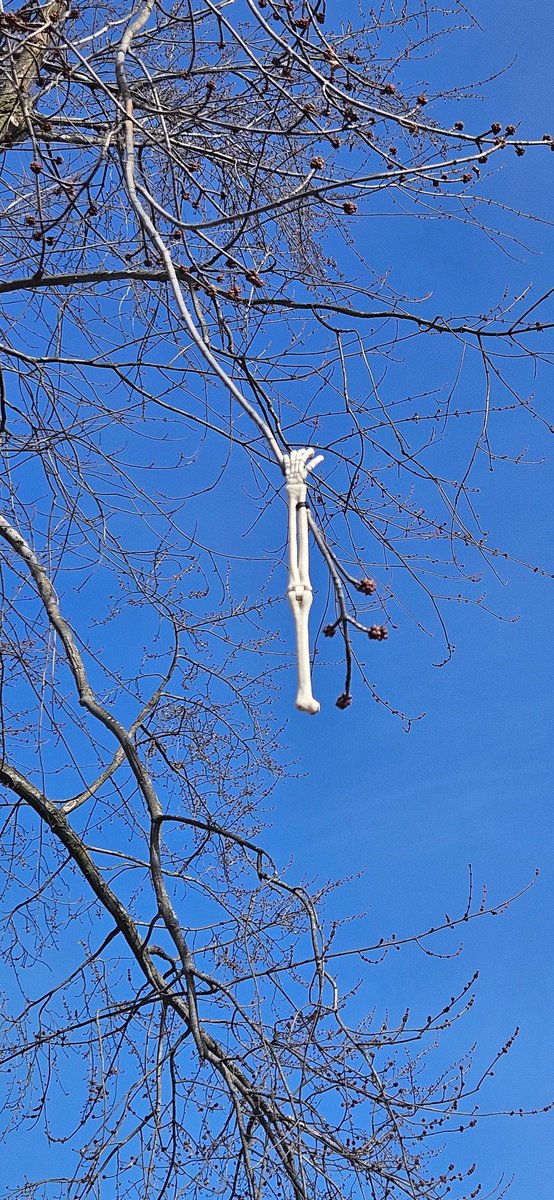 The Haunted Grave 🕸🦇 (@hauntedgrave) on Twitter photo 