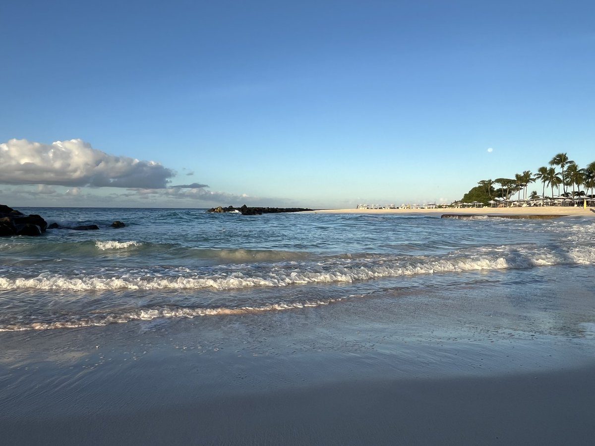 Luke squires tweet media