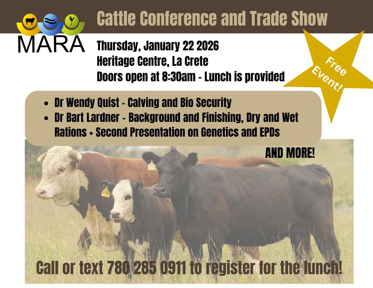 Mackenzie Research tweet media