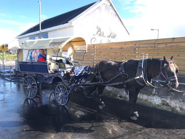 #MemberMonday ✨ Moloney House B&amp;B 💚

A 30-year-old purpose built bed and breakfast in the heart of Doolin. Frank and Mary Ellens home is situated on a 50-acre beef farm and overlooks the 500-year-old ruins of Doonmacfelim Castle.
Find out more here: doolin.ie/moloney-house-…