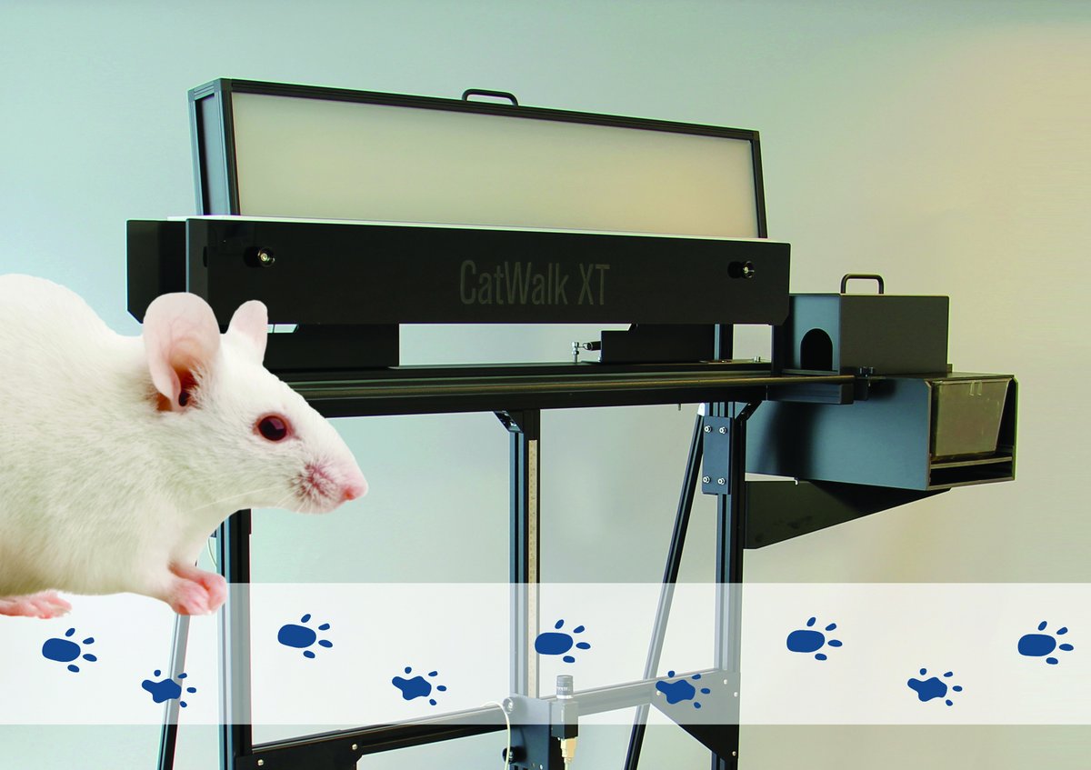 Noldus IT tweet media