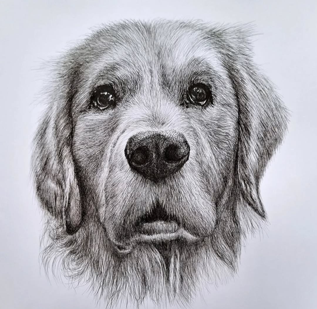 AryaStark_got_'s tweet image. Arbetar med beställning..
Vill du ha ett hus, hund, båt, sommarstuga, interiör mm i  tusch!!! Hör av dig. 
A5 500 kr
A4 1000 kr
A3 1500 kr
Har sänkt priserna, så hoppas på många beställningar ❤️❤️❤️