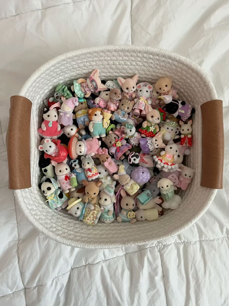 cute daily ✧˖° tweet media