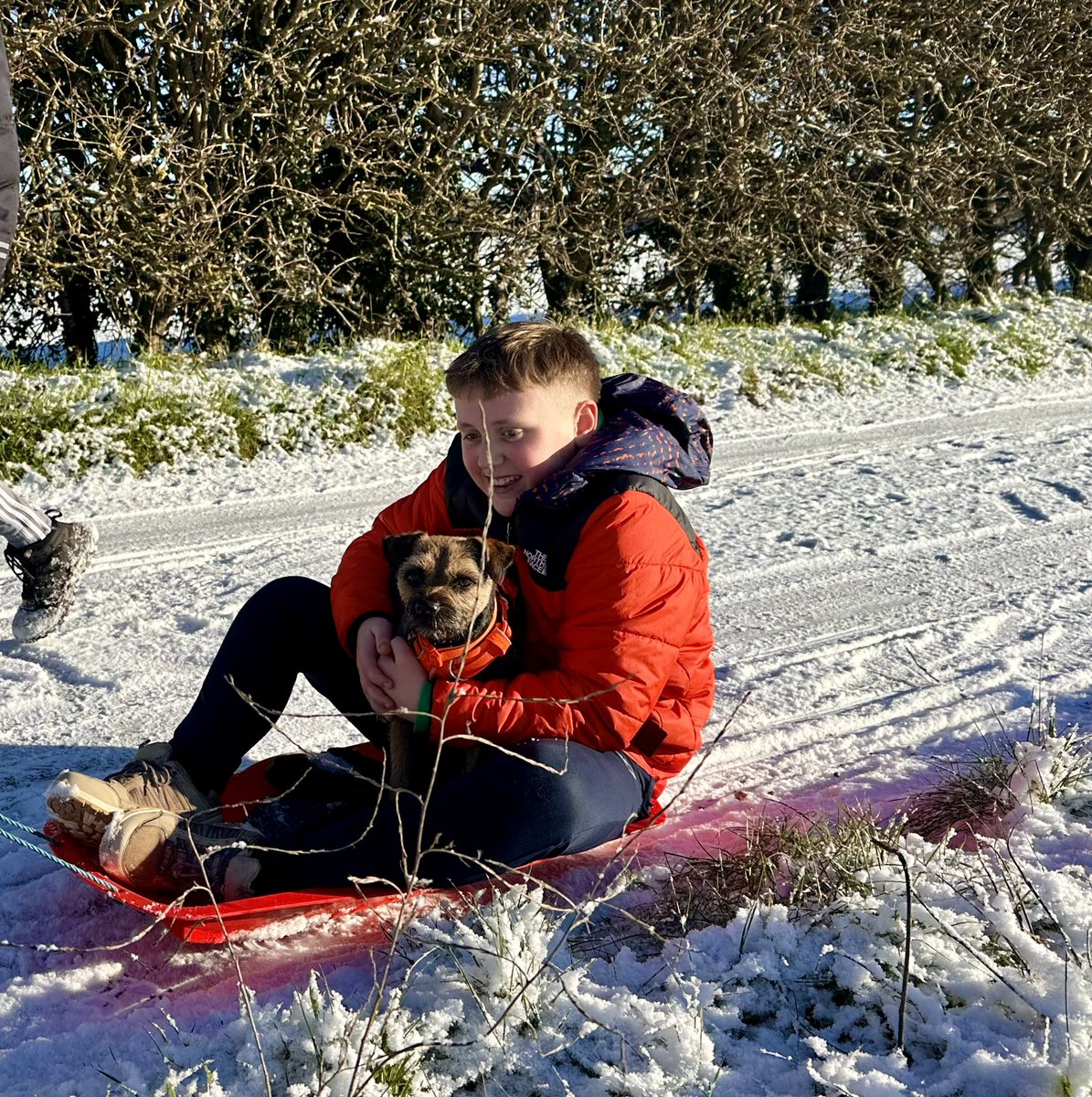 9boomer's tweet photo. The neighbour took me sledging 🛷❄️🐾 #funinthesnow #snow #BTposse https://t.co/DcuujjTWyW