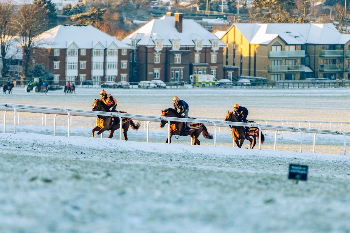 WilliamHaggas's tweet image. A wintry scene on the Newmarket Heath ❄️🟠

#SL #SomervilleLodge