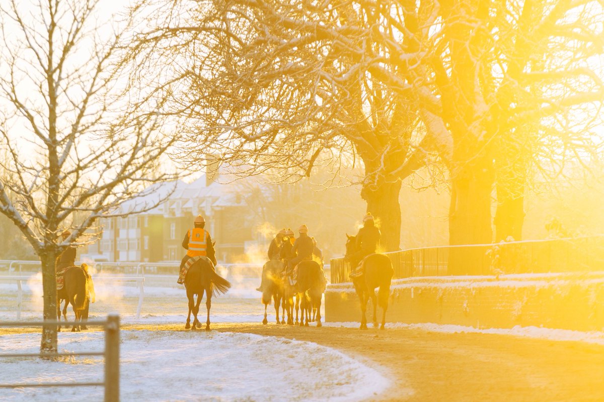 WilliamHaggas's tweet image. A wintry scene on the Newmarket Heath ❄️🟠

#SL #SomervilleLodge