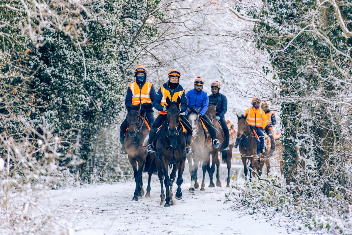 WilliamHaggas's tweet image. A wintry scene on the Newmarket Heath ❄️🟠

#SL #SomervilleLodge