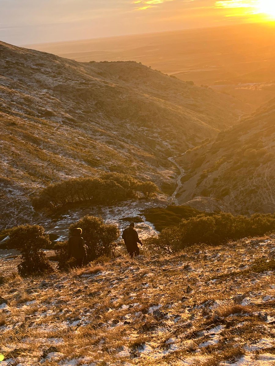 Teresushi tweet media