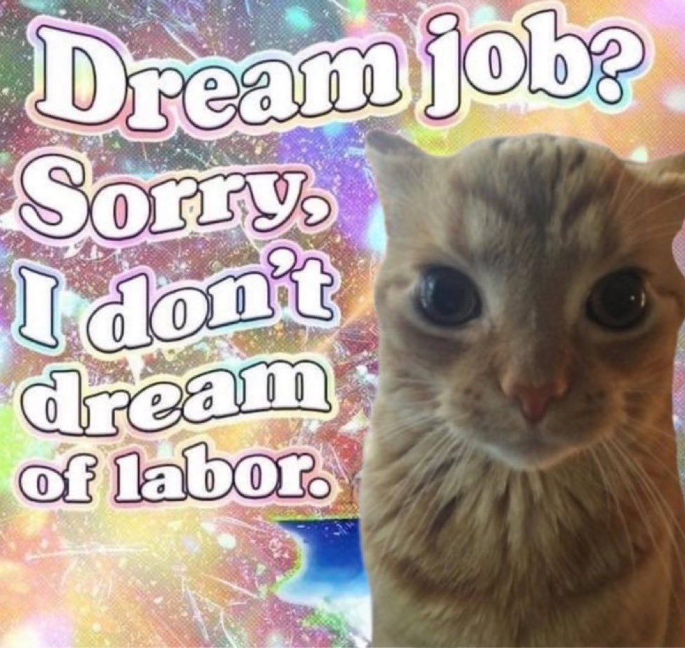 GaK (@gakstercat) on Twitter photo 