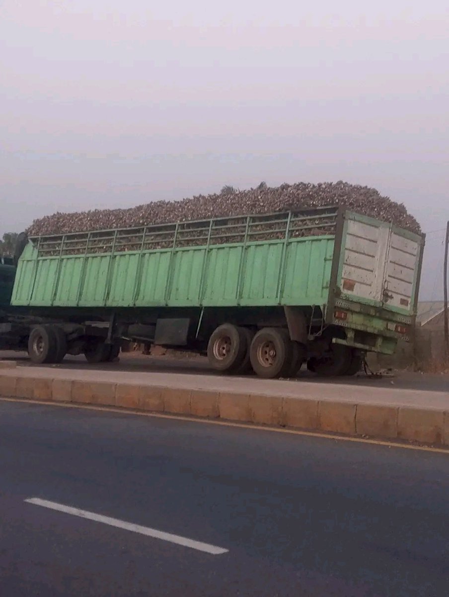 The Nigerian Farmer tweet media