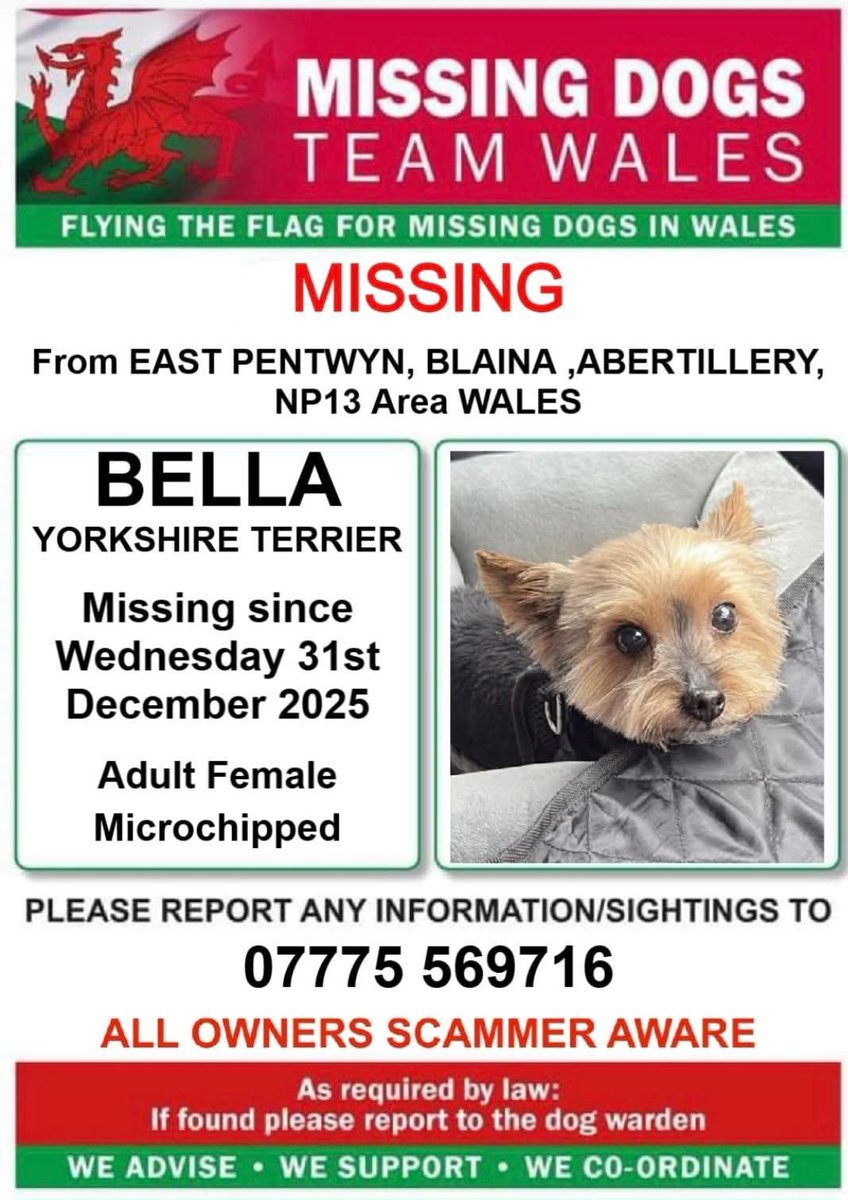 juliagarland73's tweet photo. #MISSING #Lostdog #MISSING for 4 days now 😔 #Bella #MISSING from #EastPentwyn #Blaina #Abertillery #NP13 area #Wales #TeamWales 🇬🇧🇬🇧🇬🇧 https://t.co/r62Al4yRXU https://t.co/3eqcWt2apA