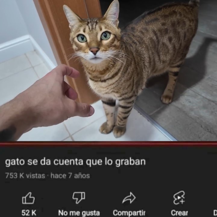 Robleistas Out Of Context (@robleisrctw) on Twitter photo 