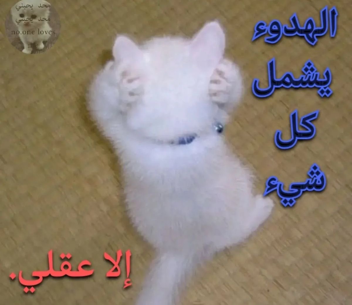 yourfavsmsm's tweet photo. https://t.co/K9vgo2iwNa