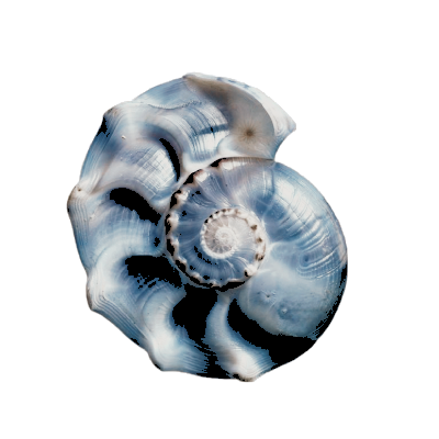 TETSAKAREM's tweet image. ㅤ࿆     te    ronal  
 ◝   ite    ␦    ☽