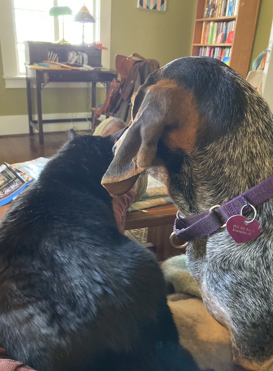 strollingwalker's tweet image. My kind of consultants.