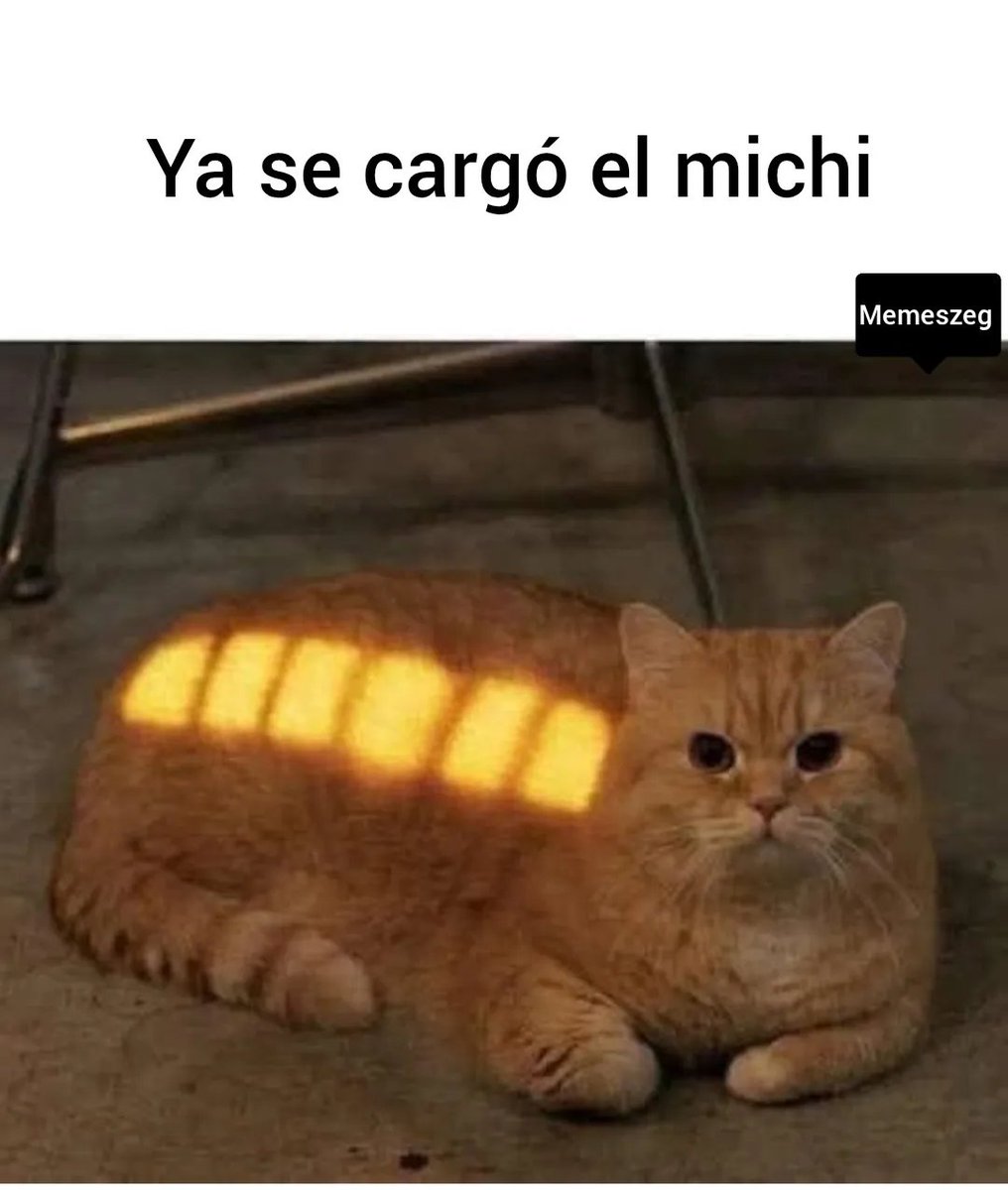 Rincón Curioso tweet media