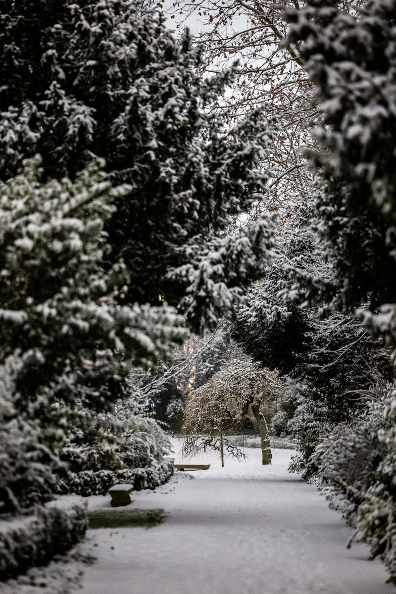 Matignon's tweet image. Sous la neige ❄️