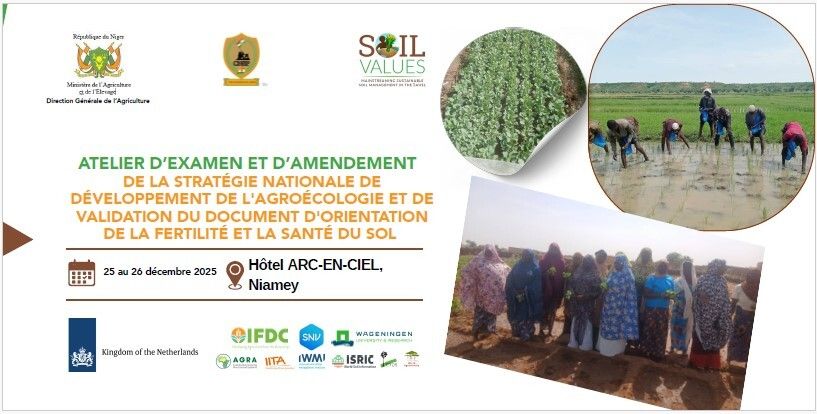 IFDC North and West Africa (ARCHIVED) tweet media