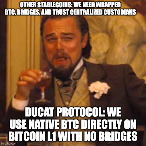 DuCAT tweet media