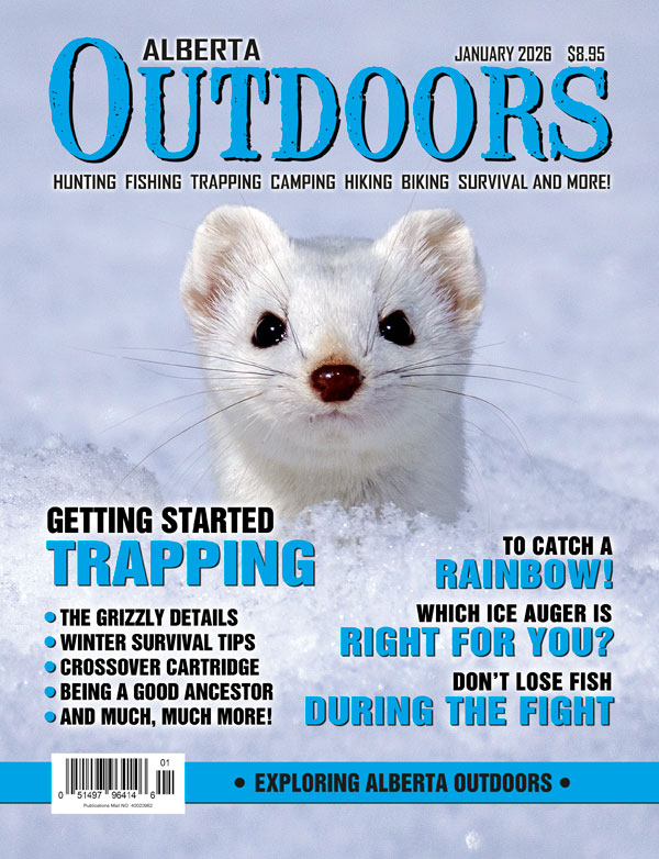 Alberta Outdoors tweet media