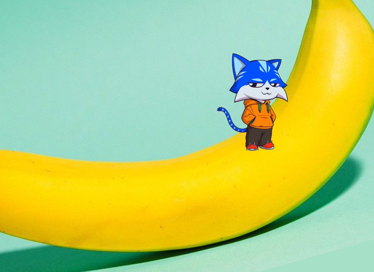 blue cat spotting

$TOSHI is the top cat in crypto

billions are ahead

keep grinding <a href="/Toshi_base/">TOSHI</a> fam!!!