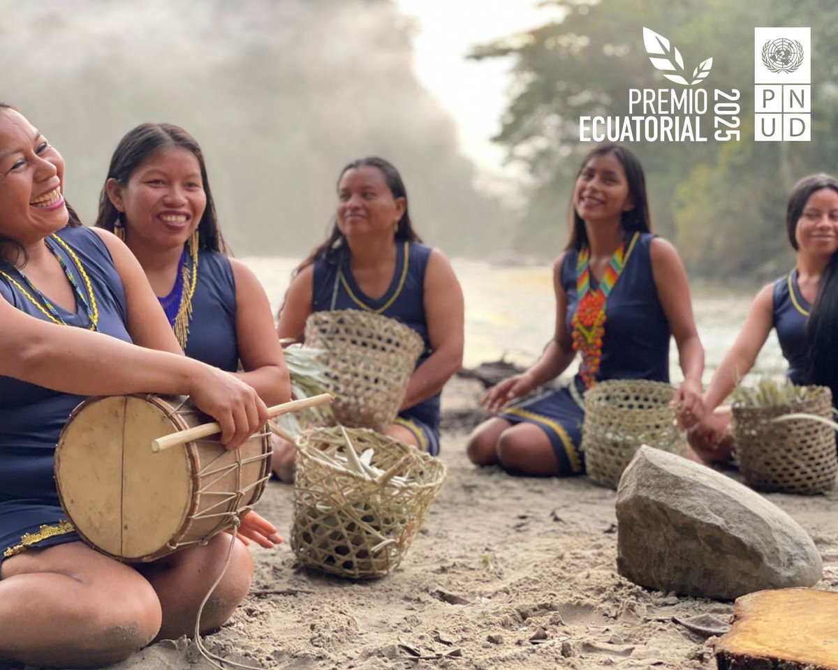 PNUD Ecuador tweet media