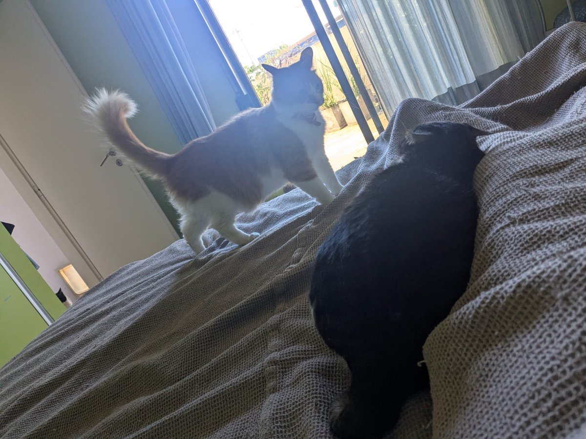 Post de apreciacion a mandarina