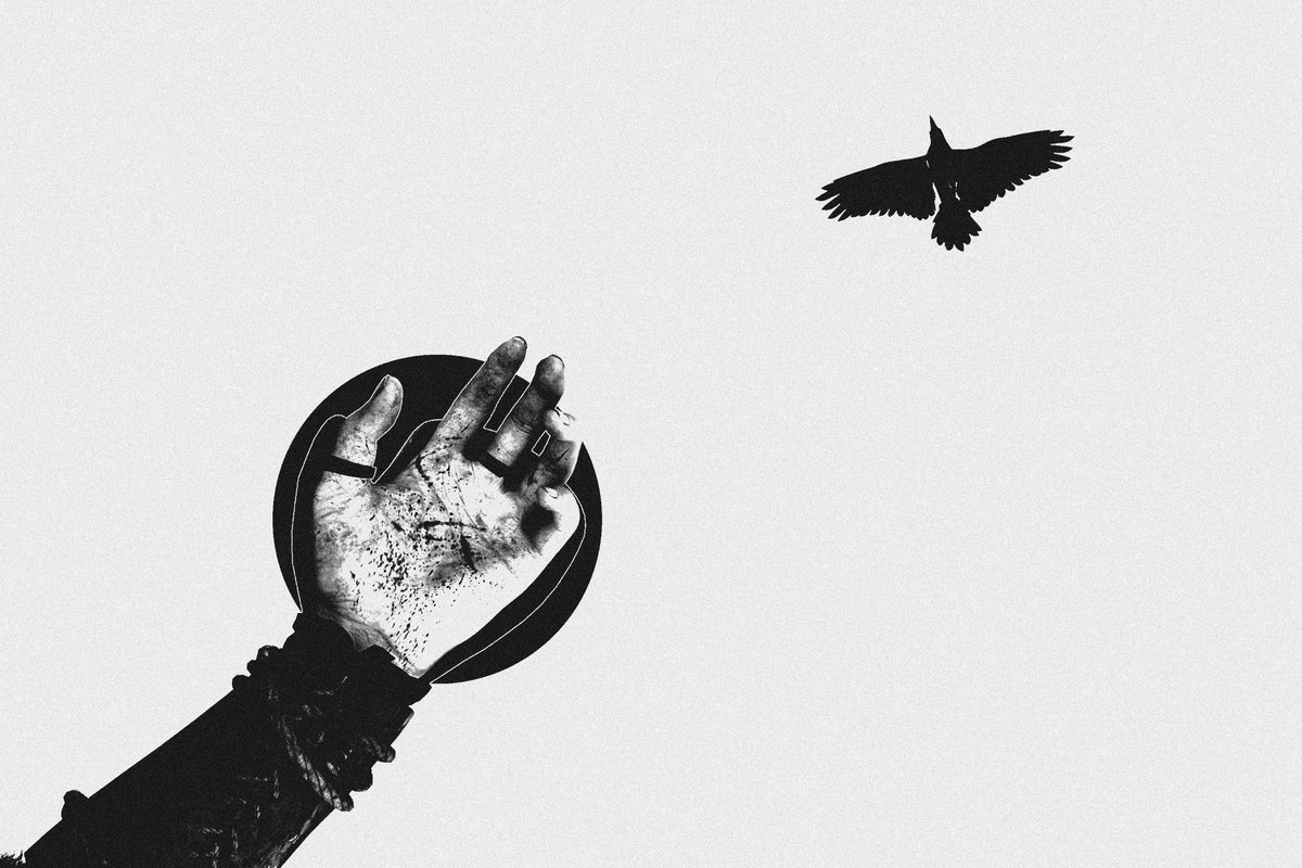 Edneyone 🎮📸 tweet media