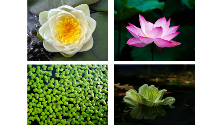 Alex Bowles tweet media