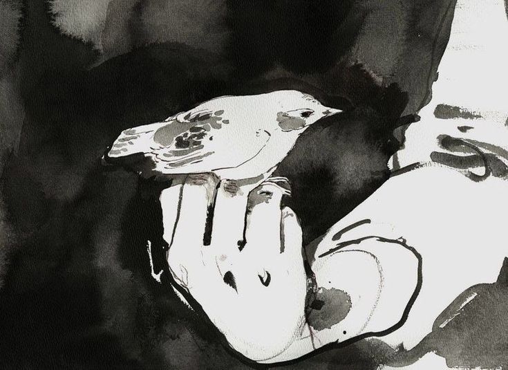 thtrainwreck's tweet image. 